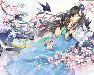 蘑菇视频在线跳转
